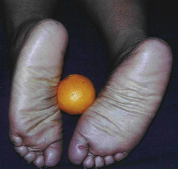 PlumBunny_Fruit12.jpg